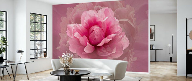 PHOTOWALL / Pink Lady (e332178)