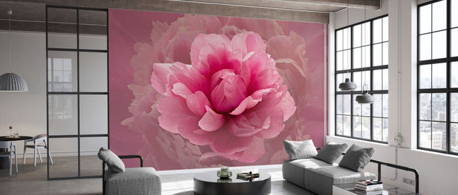 PHOTOWALL / Pink Lady (e332178)