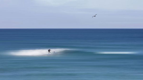 PHOTOWALL / Surfing (e332180)