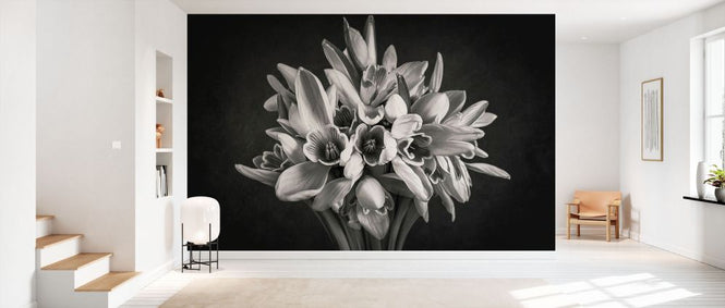 PHOTOWALL / Suddenly From Nowhere (e332197)