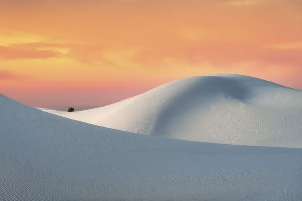 PHOTOWALL / White Sands (e332200)