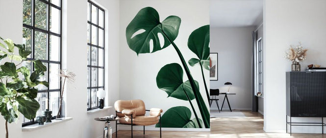 PHOTOWALL / Monstera Natural XXXVIII (e332307)