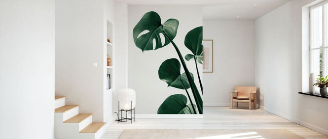 PHOTOWALL / Monstera Natural XXXVIII (e332307)