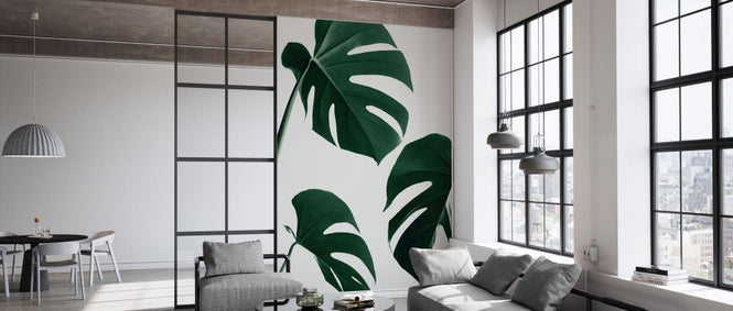 PHOTOWALL / Monstera Nautral XXXIX (e332308)