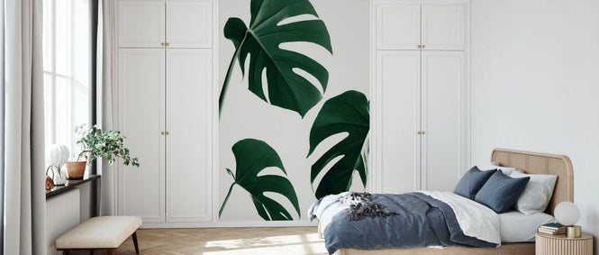 PHOTOWALL / Monstera Nautral XXXIX (e332308)