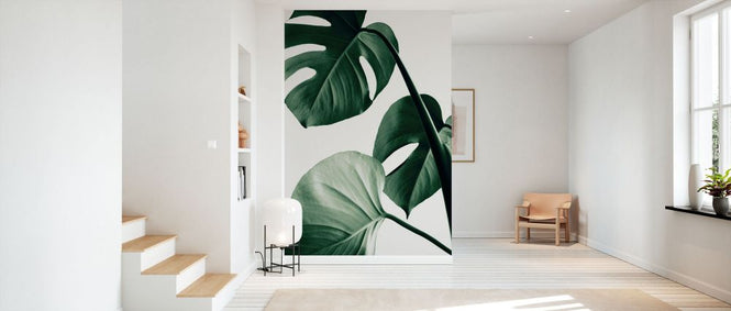 PHOTOWALL / Monstera Natural XLII (e332309)