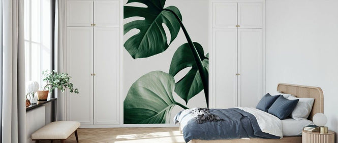 PHOTOWALL / Monstera Natural XLII (e332309)