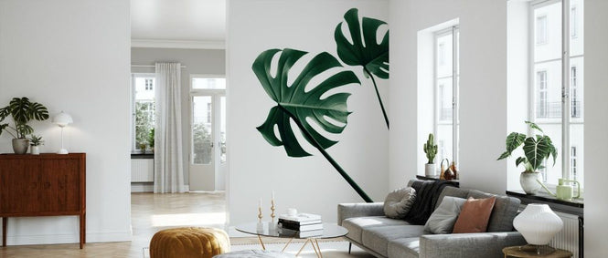 PHOTOWALL / Monstera Natural XLVII (e332311)