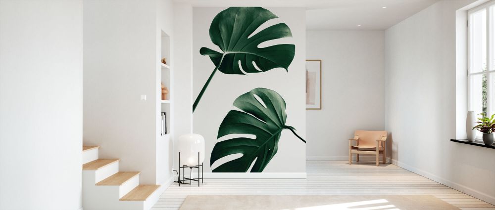 PHOTOWALL / Monstera Natural XLVI (e332313) | 輸入壁紙専門店 WALPA