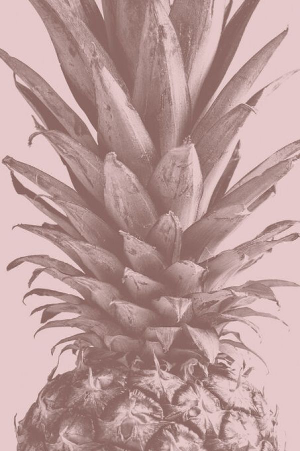 PHOTOWALL / Pineapple Close Up (e332350)