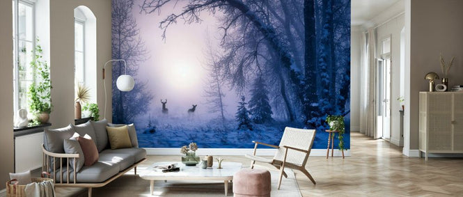 PHOTOWALL / Reinder in Snowy Forest (e332355)