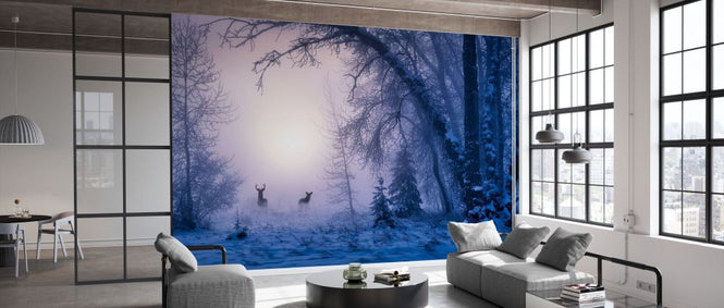 PHOTOWALL / Reinder in Snowy Forest (e332355)
