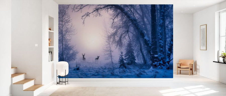 PHOTOWALL / Reinder in Snowy Forest (e332355)
