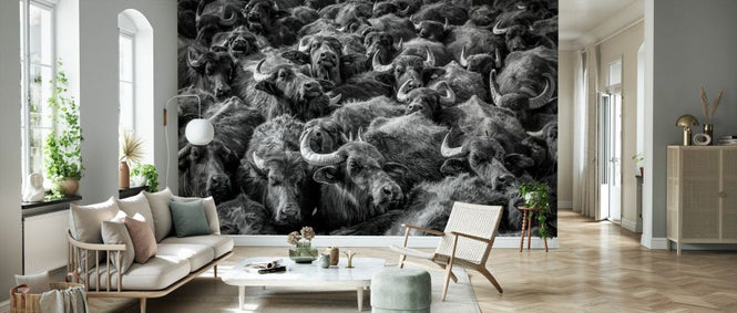 PHOTOWALL / Asian Buffaloes (e332392)