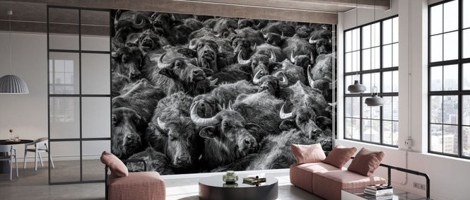 PHOTOWALL / Asian Buffaloes (e332392)