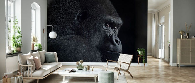 PHOTOWALL / Gorilla Gaze (e332394)