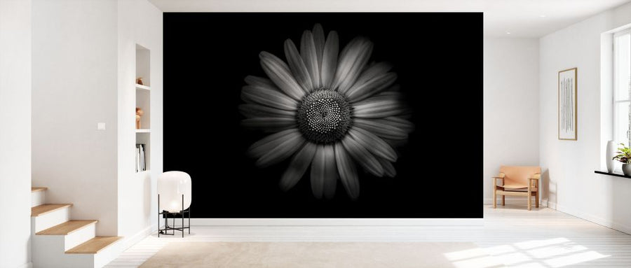 PHOTOWALL / Backyard Flowers in Black and White (e332489)