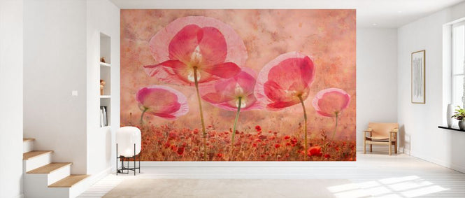 PHOTOWALL / Common Poppy (e332492)