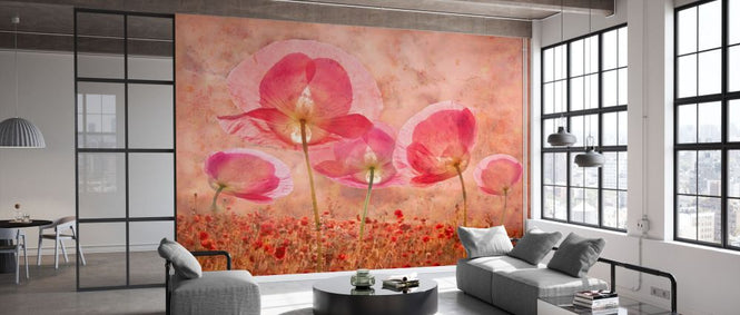 PHOTOWALL / Common Poppy (e332492)