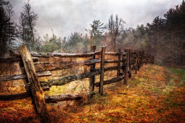 PHOTOWALL / Wood Fences (e332494)