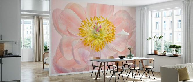 PHOTOWALL / Salmon Pink Peony (e332524)