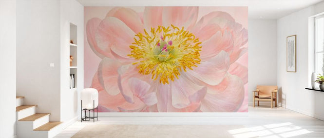PHOTOWALL / Salmon Pink Peony (e332524)