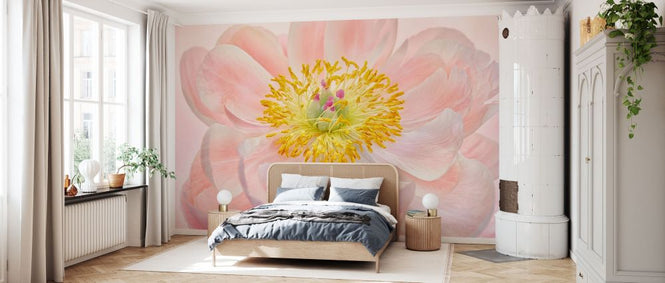 PHOTOWALL / Salmon Pink Peony (e332524)