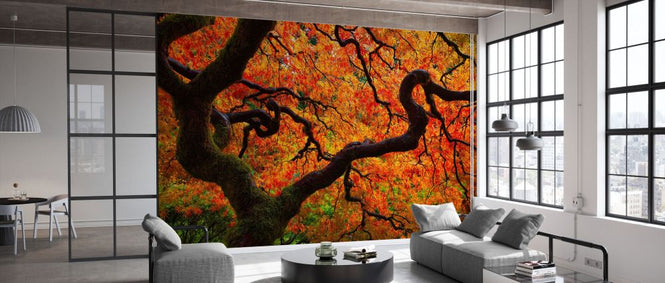 PHOTOWALL / Fall Chaos (e332527)