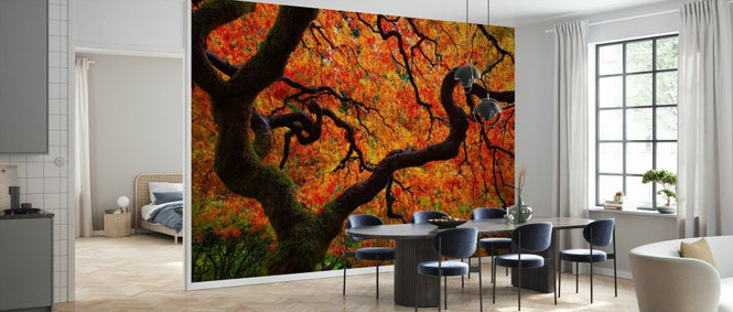 PHOTOWALL / Fall Chaos (e332527)