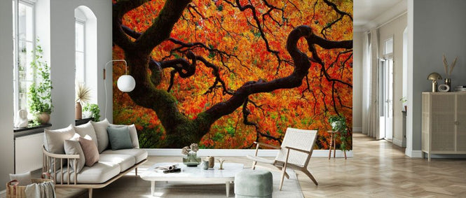 PHOTOWALL / Fall Chaos (e332527)