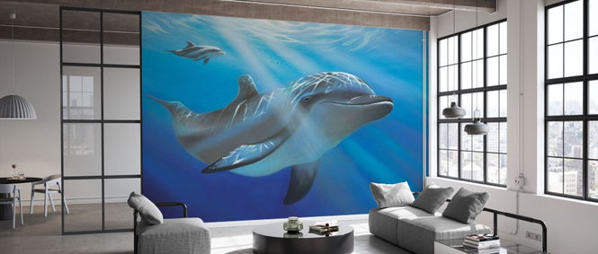 PHOTOWALL / Dolphin Evening Dive (e332534)