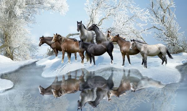 PHOTOWALL / Cold Water Crossing (e332544)
