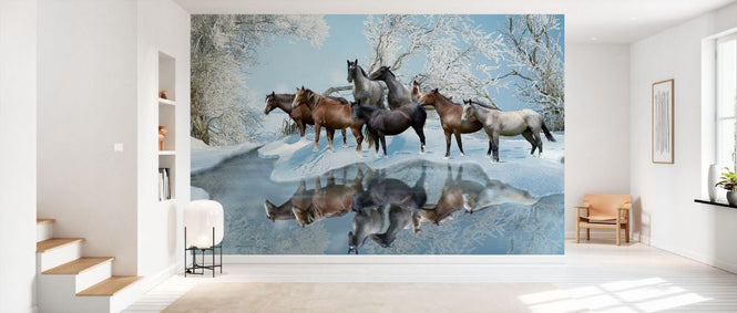 PHOTOWALL / Cold Water Crossing (e332544)