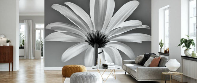 PHOTOWALL / White Daisy Black and White (e332548)