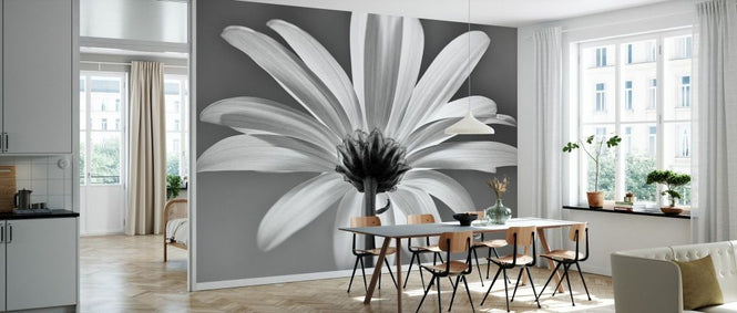 PHOTOWALL / White Daisy Black and White (e332548)
