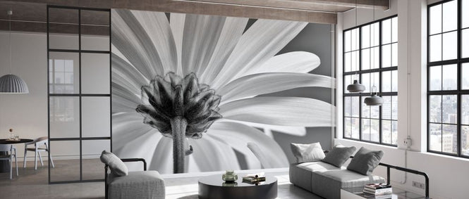 PHOTOWALL / White Daisy Black and White II (e332549)