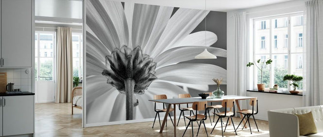 PHOTOWALL / White Daisy Black and White II (e332549)