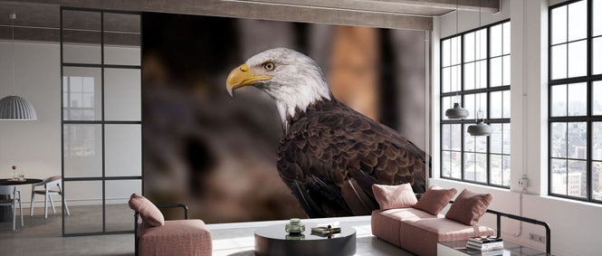 PHOTOWALL / Bald Eagle (e332551)