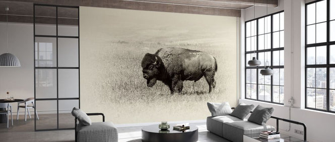 PHOTOWALL / Badlands Antique III (e332556)