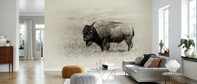 PHOTOWALL / Badlands Antique III (e332556)