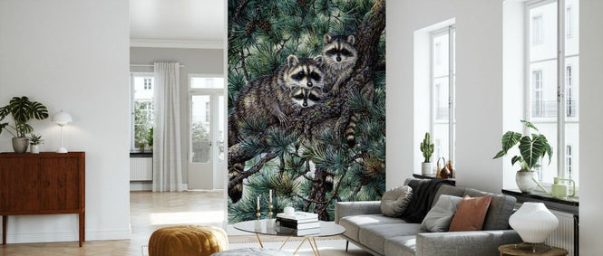 PHOTOWALL / Racoons (e332559)