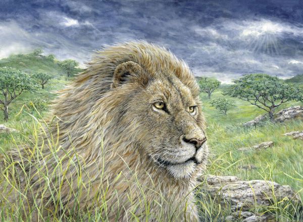 PHOTOWALL / Lion Painting (e332560)