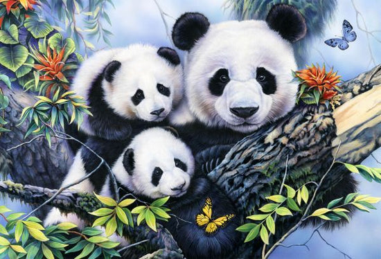 PHOTOWALL / Panda Family (e332565)