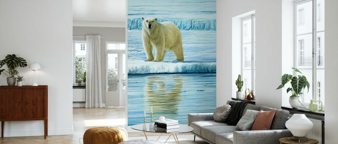 PHOTOWALL / Curious Bear Photo (e332573)