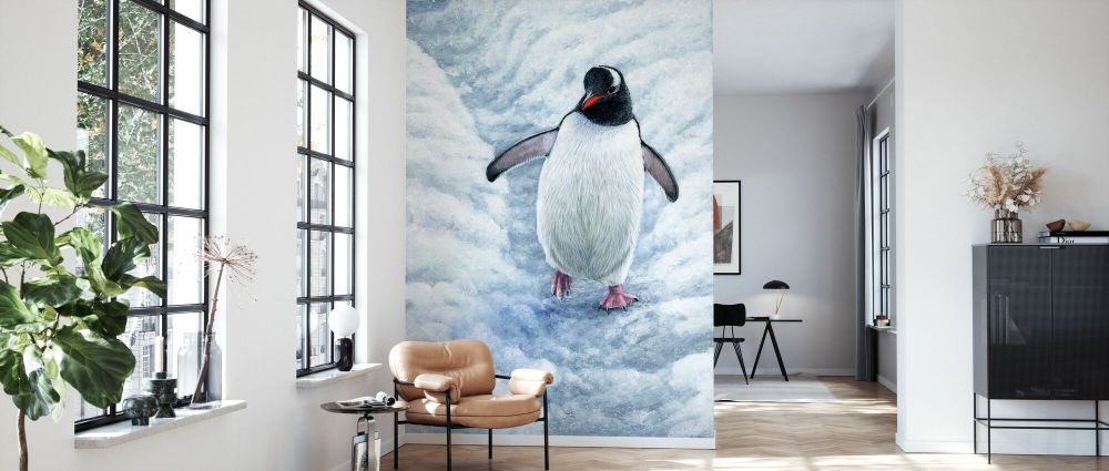 PHOTOWALL / Gentoo Penguin (e332574) | 輸入壁紙専門店 WALPA – WALPA.jp