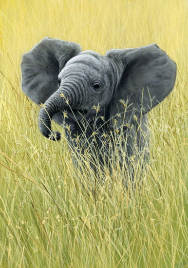 PHOTOWALL / Elephant in the Grass (e332576)