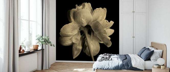 PHOTOWALL / Primerose (e332587)