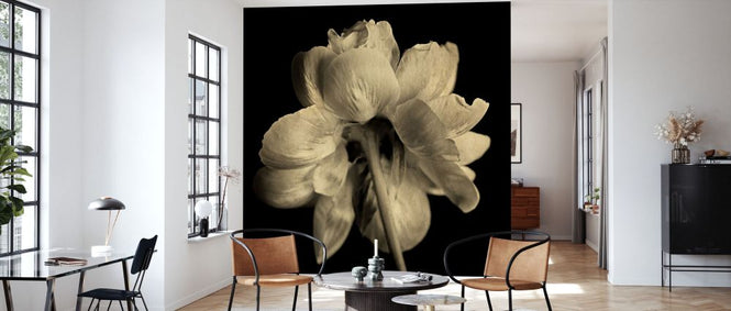 PHOTOWALL / Primerose (e332587)