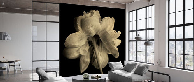 PHOTOWALL / Primerose (e332587)