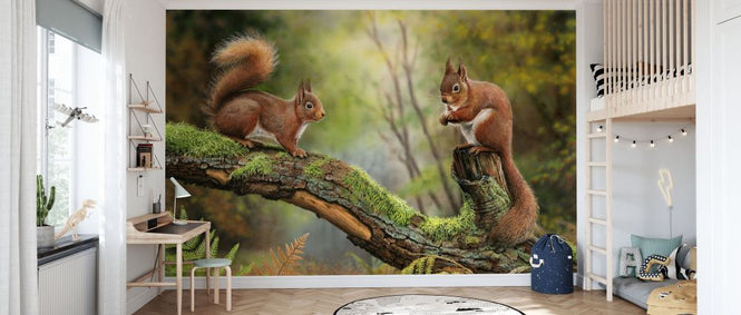 PHOTOWALL / Red Squirrels (e332598)